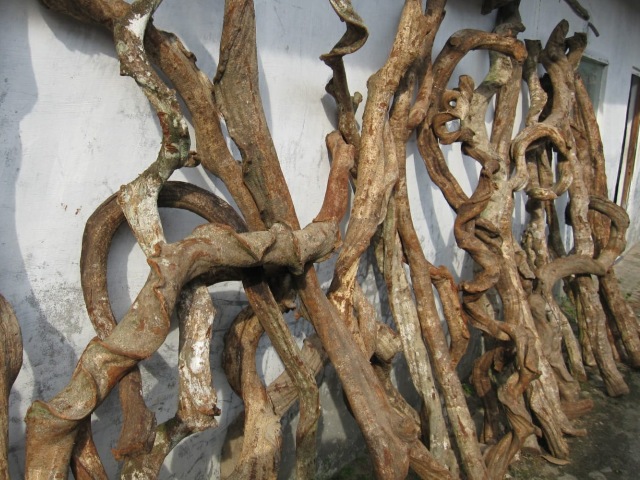 catalog_image